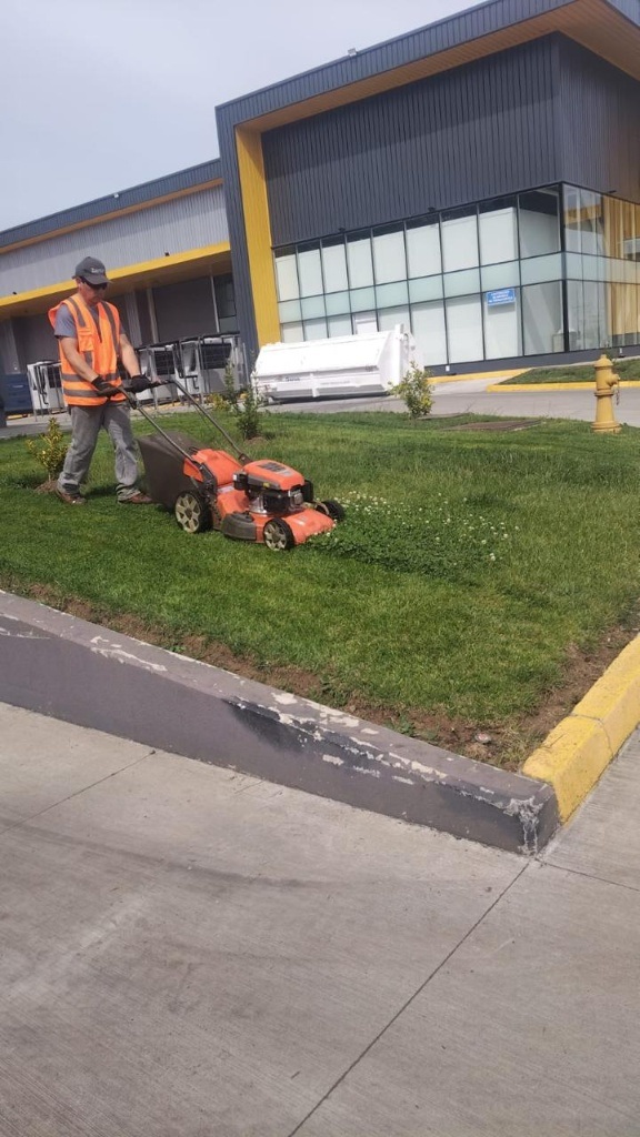 cortador de cesped